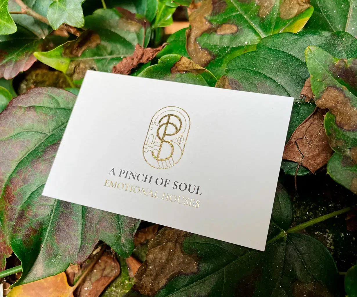 carte de visite A Pinch of Soul